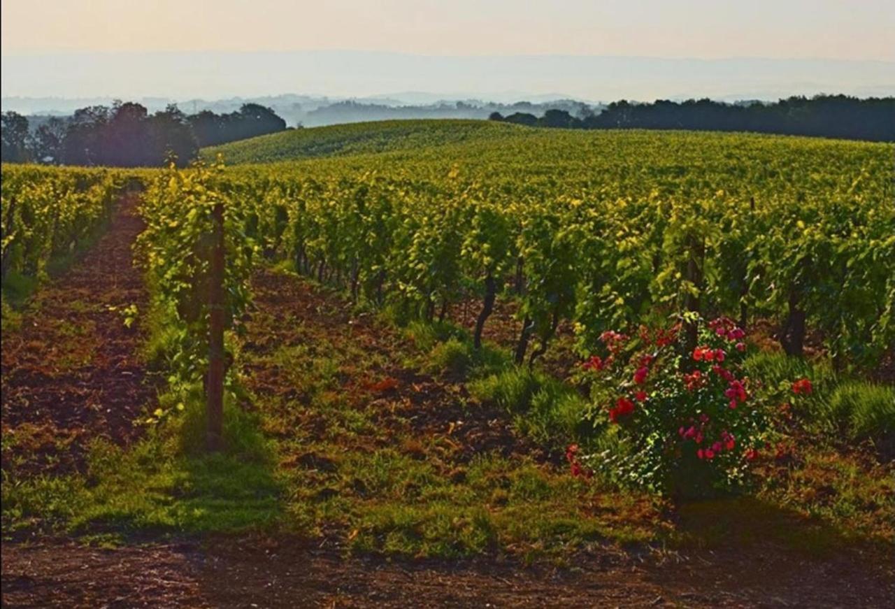 Agriturismo Fattoria Il Piano - Appartamento Lavanda - Сан Джиминяно Екстериор снимка