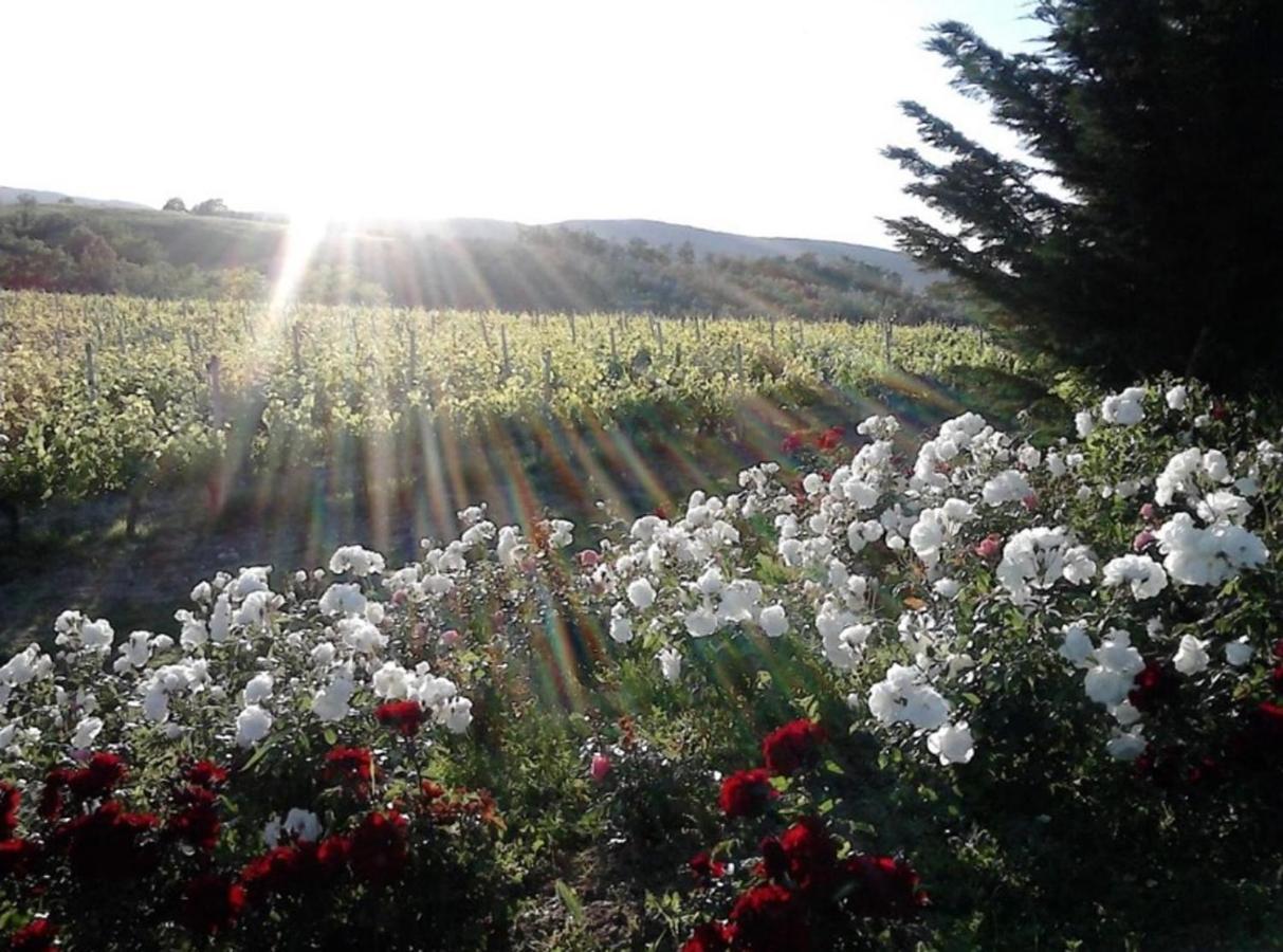 Agriturismo Fattoria Il Piano - Appartamento Lavanda - Сан Джиминяно Екстериор снимка